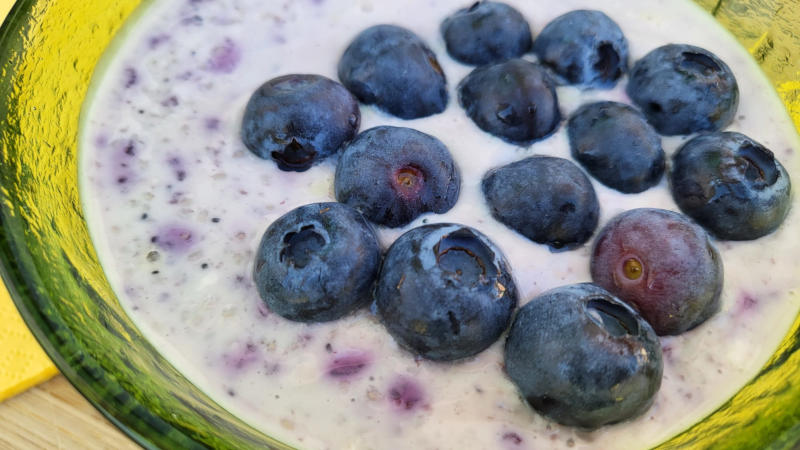 Chia pudding proteico al cocco e mirtilli