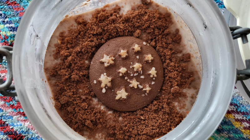 Gelato Pan di Stelle proteico